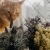 a cat smelling a plant